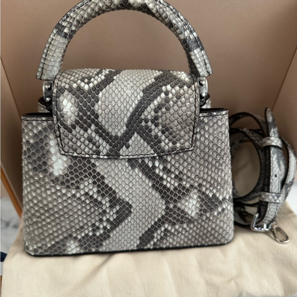 Rare Authentic Exotic Python Louis Vuitton mini Capucine - Picture 9 of 9